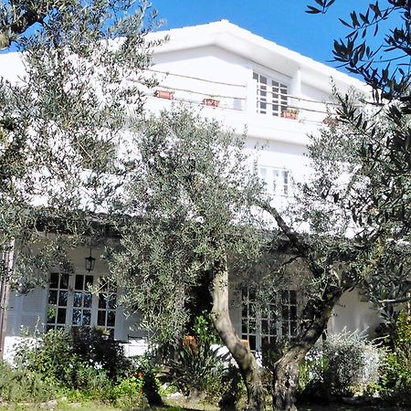 B&B Villa Ada Formia Kültér fotó